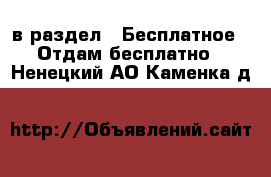  в раздел : Бесплатное » Отдам бесплатно . Ненецкий АО,Каменка д.